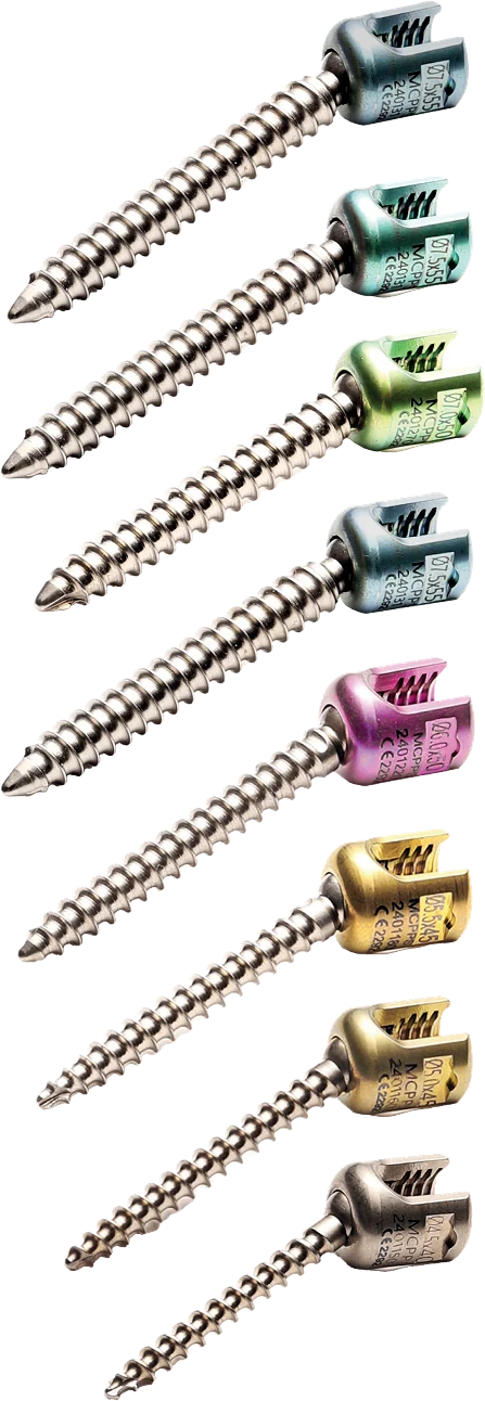 Posterior Polyaxial Screw – catalogue image